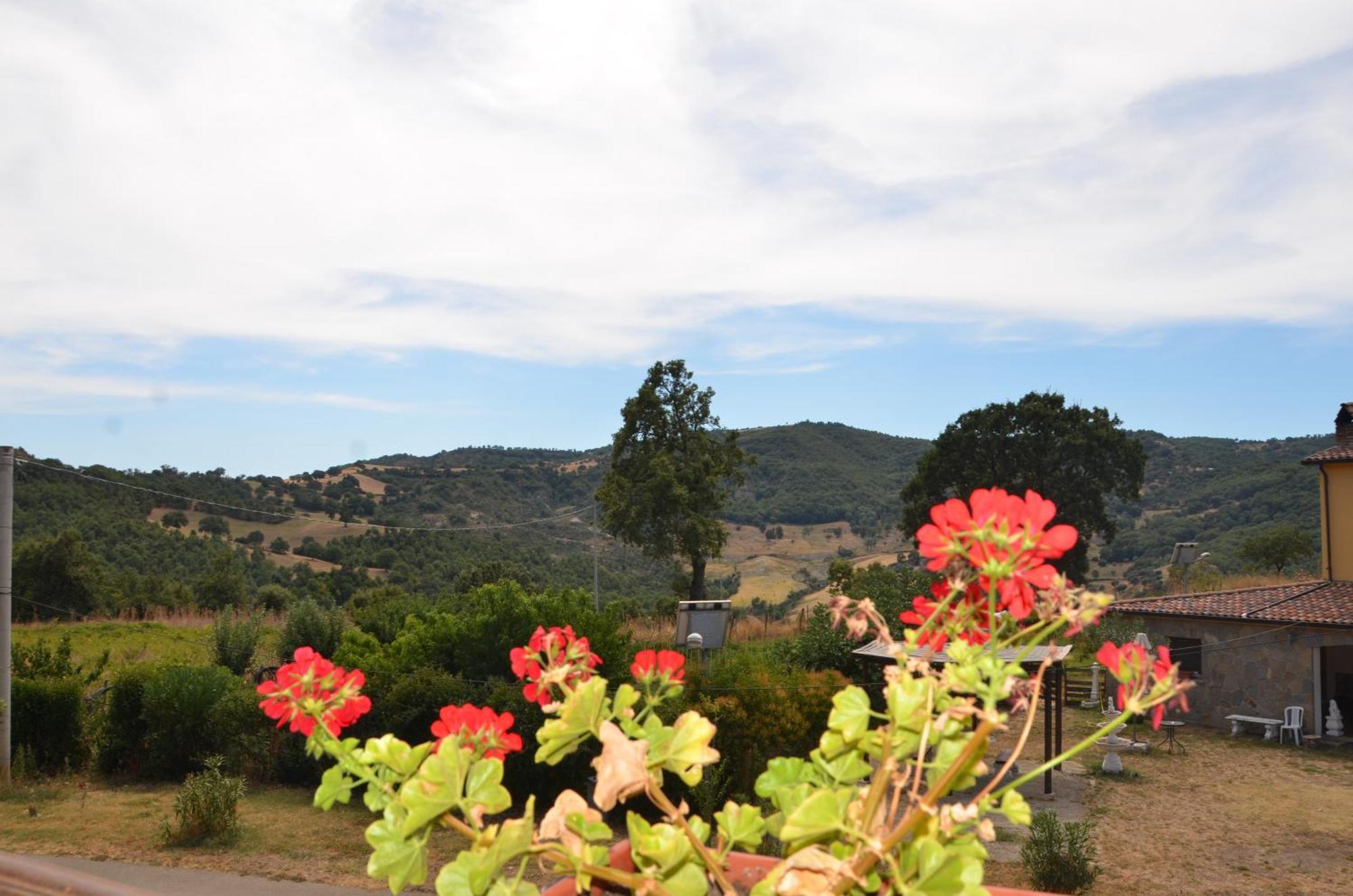 Agriturismo Masseria Castiglione Gallicchio エクステリア 写真